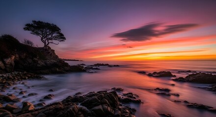 Dramatic Seascape at Sunset with Tree Silhouetted Against Colorful Sky