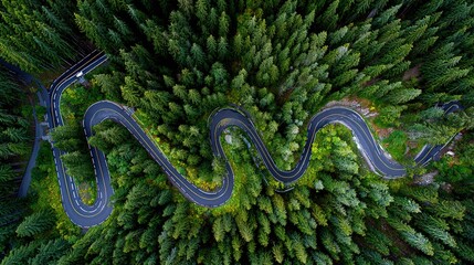 Obraz premium Serpentine road winding through dense green coniferous forest, aerial drone view landscape