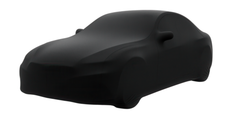 Flexible spandex car cover with a tight fit and few seams.