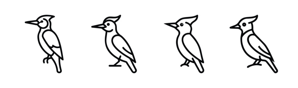 Charming vector illustration of a woodpecker with bold lines and a colorful body