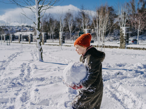 Side view of a girl in a winter duffel coat, bobble hat and gloves standing in a park carrying a heavy snowball to make a snowman, Ireland