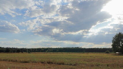 Paesaggio campo e il bosco 