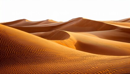 golden sand dunes with smooth natural wavy patterns and fine texture resembling desert landscape curves and ripples create calm and serene visual appearance isolated on white background