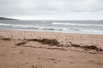 A view of the Gulf of Finland coast in cloudy weather