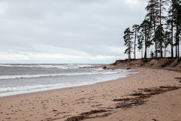 A view of the Gulf of Finland coast in cloudy weather