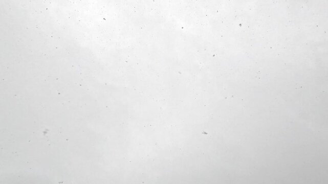 Camera remains fixed while small snowflakes move across soft white ground, showing subtle dynamic snowfall pattern during cold daylight with calm winter atmosphere and no objects visible