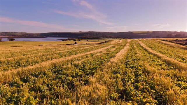 Drone: Sunset over meadows and river, Midleton, Cork, Ireland