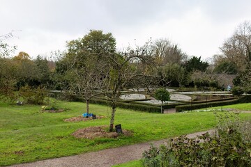 widok na fragment ogródu  w Trerice - Kornwalia - Zjednoczone Królestwo