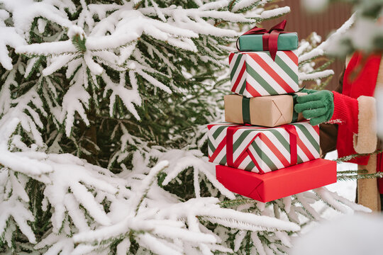 Close-up of a woman in a warm coat and gloves standing by snow covered Christmas fir trees holding a stack of wrapped Christmas gifts