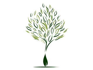 Green tree with roots isolated on white background 