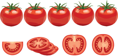 Fresh whole and sliced tomato vector set with juicy textures, detailed illustrations, and vibrant red color for food designs