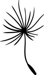 Dandelion hand drawing elegant simple illustration