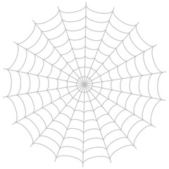 spider web