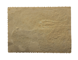 Vintage textured paper with scalloped edges on transparent background