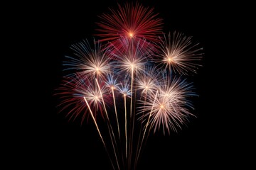 Fototapeta premium Fireworks outdoors night black background.