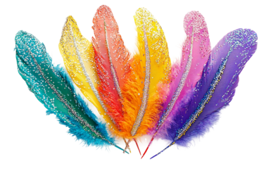 Brightly colored carnival feathers arranged in an intricate decorative pattern creating a festive and vibrant display isolated on transparent background PNG