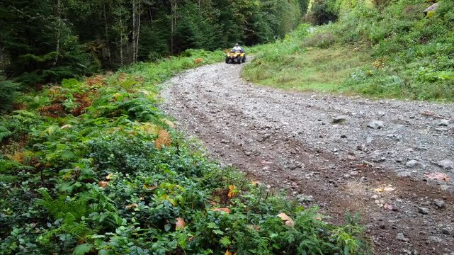 Adventurous solo man drives yellow atv up bumpy rough road through dense forest pacific northwest 