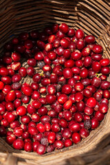 organic raw coffee beans