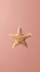 Single straw star centered on soft pastel background