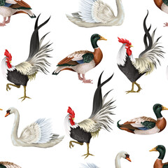 Seamless pattern with roosters, swan and duck. Vector.