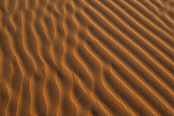 ripples in the sand
