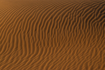 sand dune texture