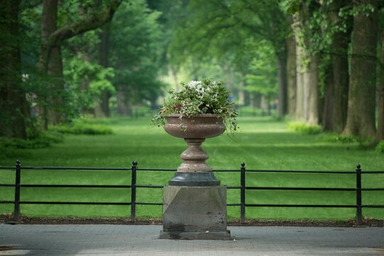 fountain in the park