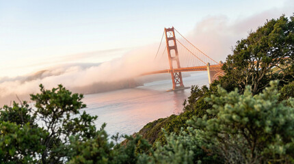 Golden Gate Bridge partially shrouded in fog with greenery and a serene waterway, perfect for travel articles or nature-themed decor.