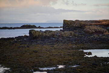 Rocky coastal landscape at low tide, Iceland © Oleksandr Kashcheiev