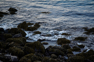 Rocky shoreline with seaweed and ocean waves in Akranes, Iceland