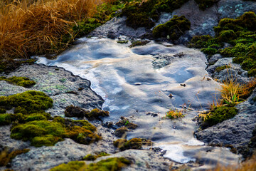 Frozen water on mossy volcanic rock, Akranes, Iceland