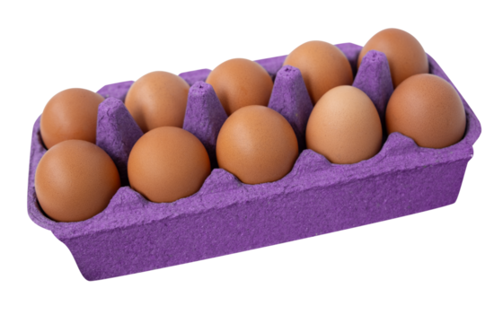 Close-up shot of brown chicken eggs arranged in a vibrant purple cardboard tray on a clean white background.