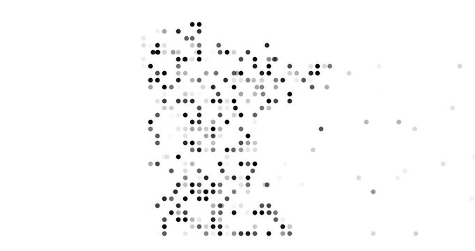 Abstract Falling Dots Forming Minnesota Map