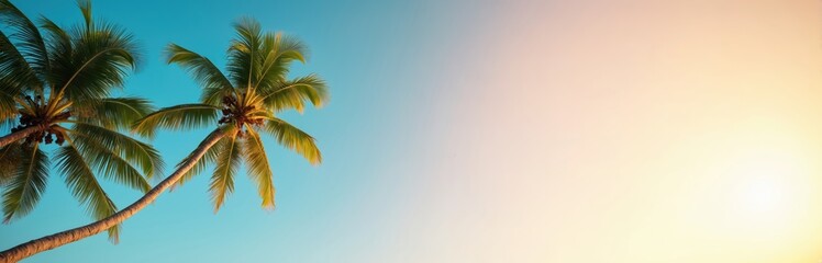 Obraz premium Two palm trees reach towards a soft gradient sky with warm sunset light on the right side. This tropical scene offers ample copy space for text.