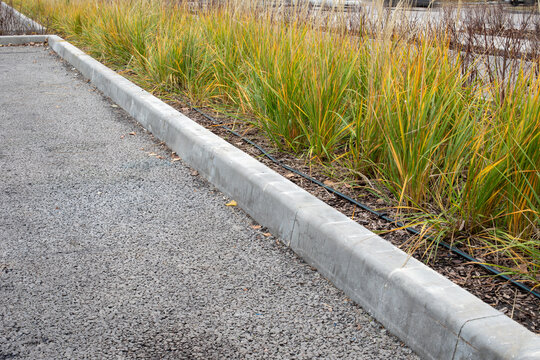 Concrete curb separating asphalt path from ornamental grass bed with drip irrigation. Landscape design, property maintenance, hardscape edge. Real photo