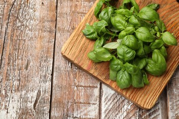 Fresh basil leaves on color wooden table, top view. Space for text