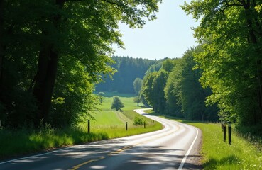 Curving asphalt road winds through lush green forest and fields under a clear blue sky. Sunlight filters through trees casting shadows on the scenic route.