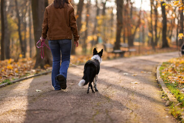 Obraz premium Woman walking her cute dog in autumn park, closeup. Space for text