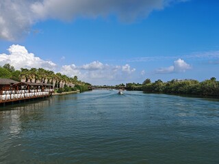 Tables and chairs are set up under the thatched roof, on a wooden platform surrounded by a fence, above the river Bushes, palm trees and other trees grow nearby.Boats are floating Sunny autumn weather