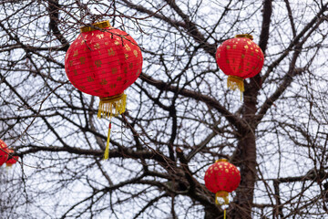 Manchester, uk, January 19th 2025 Red Chinese new year lanterns with yellow tassels decorate a park scene, creating a festive, cultural atmosphere.