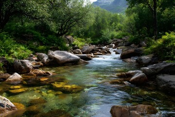 A Tranquil Stream Flowing Over Rocks Perfect for Fly Fishing and Peaceful Waterway Recreation