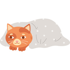 Cute Orange Tabby Cat Peeking Out From Under a Cozy Grey Blanket with White Polka Dots Transparent Background