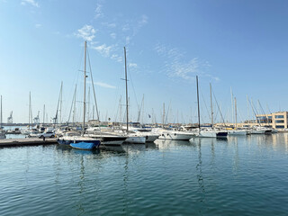 Fototapeta premium White sailboats and yachts moored in marina harbor on sunny day