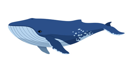 Blue Whale Illustration - A Majestic Marine Mammal of the Ocean