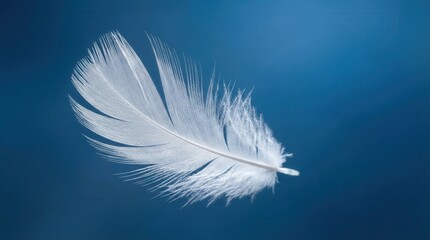 Delicate White Feather Against Blue Gradient Background