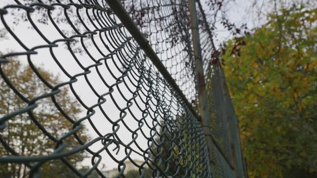 Wide Low-Angle View of Tall Metal Fence with Autumn Tree in Background