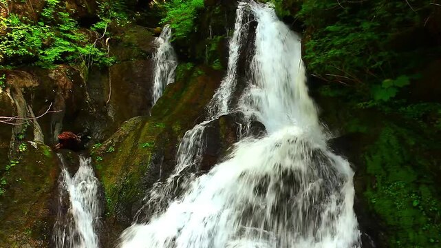 a video of Wynochee Falls in Olympic National Forest Washington State