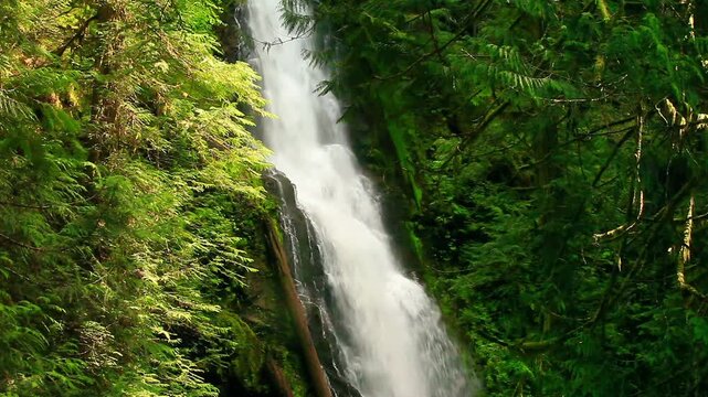  a video of Murhut Falls in Olympic National Forest Washington State