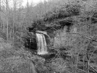 Monochrome waterfall shot in Autumn.