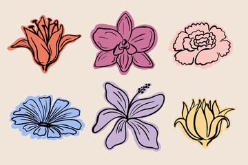Vector set of hand drawn floral illustrations with lilies, orchids, peony and chamomile. Perfect for design, print, and decoration. 